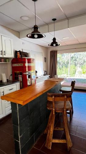 EL CAMPITO , Teyu Cuare in Misiones