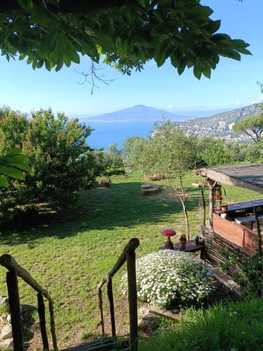 Habitat Eco Farm in Sorrento