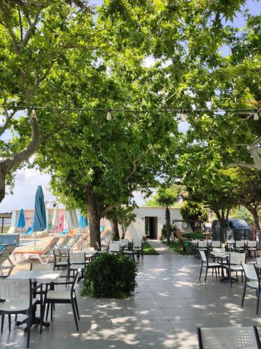 المنطقة المحيطة, Ayvalık Denizyıldızı Otel in Altınova