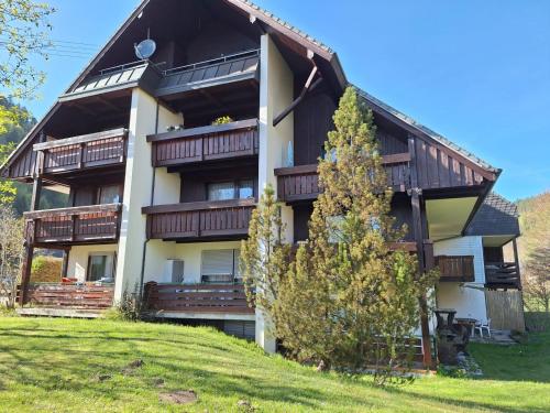 Gemutliche Ferienwohnung In Sankt Blasien - Sankt Blasien