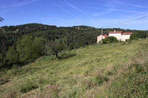 Ecrin de verdure en Ardèche verte gîte à louer Ruisset