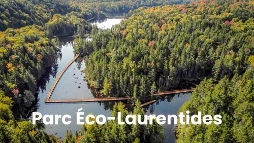 Bike-Lake-Hike-Ski In and Out - 4 Ski Passes Included in Saint-Faustin-Lac-Carré (QC)