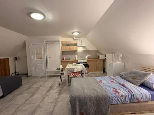 Podkrovni garsonka s parkovanim zdarma in Prague 20