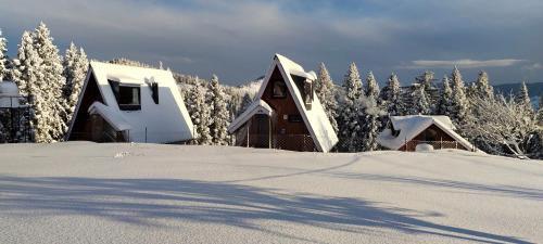 Himalaya Nature Home Stay in Kotkhai