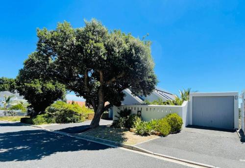 The Bright Beach House - image 6