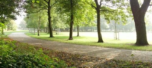 Alexandra Heights 2 Bedroom Apartment - image 8