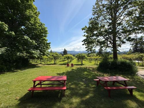 Kiwi Cove Lodge in Ladysmith (BC)