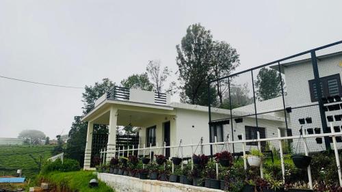 The White Haven Kotagiri - Kagguchi