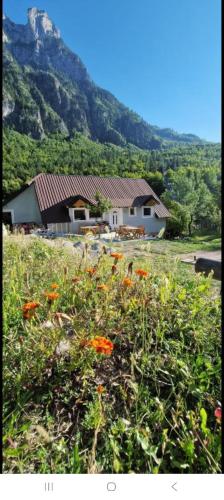 Hostel Sherifaj in Вальбона