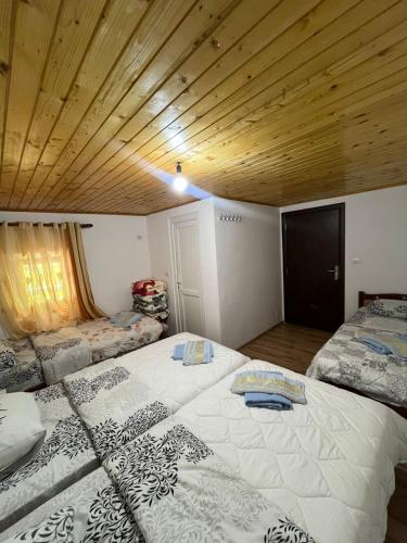 Hostel Sherifaj in Вальбона