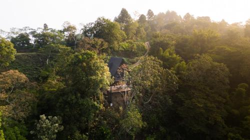 Mirador AFrame Cafetal, Vista en Comasagua