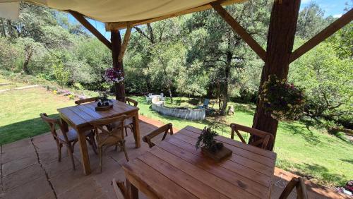 Luchita Mia Eco Cabanas Boutique in Samalayuca
