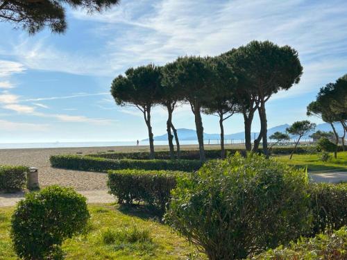 Studio cabine terrasse face mer - 4 pers. - FR-1-837-130