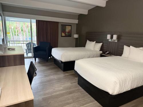 Camera twin, deluxe, accessibile