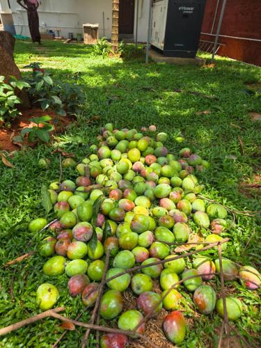 Billet