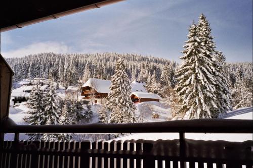 Schwarzwald Aparthotel Kräutle - image 12