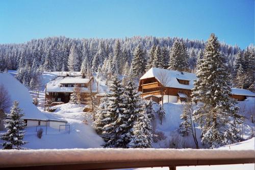 Schwarzwald Aparthotel Kräutle - main image