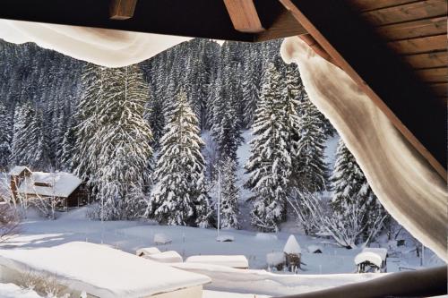 Schwarzwald Aparthotel Kräutle - image 8