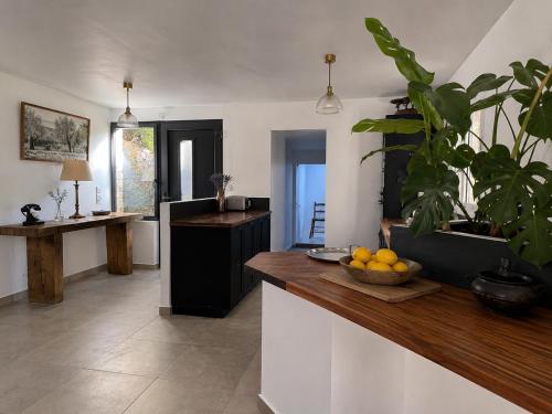 Domaine Le Jas in Jonquieres (Provence-Alpes-Cote d'Azur)