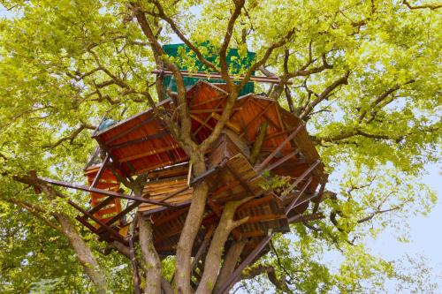 B&B La Cabane Insolite