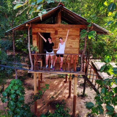 Angry Birds Tree house Sigiriya