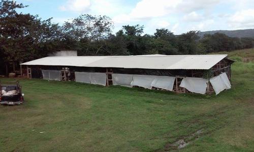 Don Santiago Guesthouse Downtown