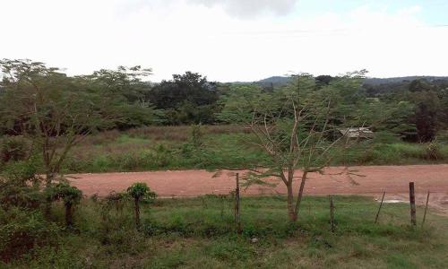 Don Santiago Guesthouse Downtown