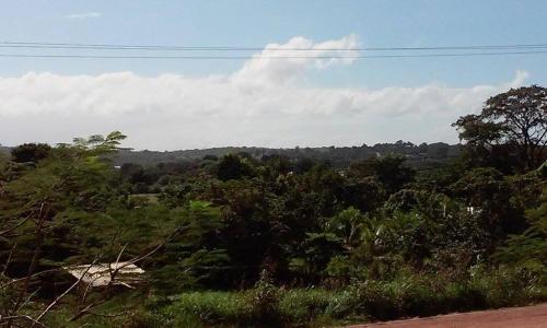 Don Santiago Guesthouse Downtown