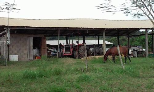 Don Santiago Guesthouse Downtown