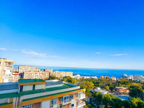 Agata Views