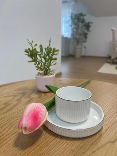 Apartman Lenka in Postenje