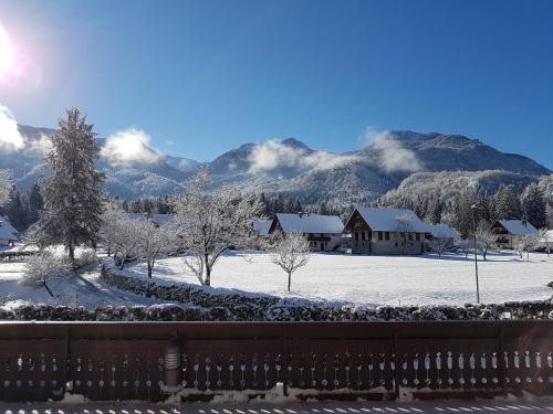 Hotel Gasperin Bohinj - image 3