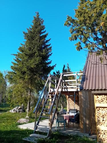 Boheemlaslik pooning Padaste lahe aares in Padaste