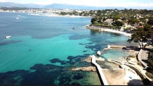 Escale Eucalyptus - Pool & Private Parking in Avenue de Cannes