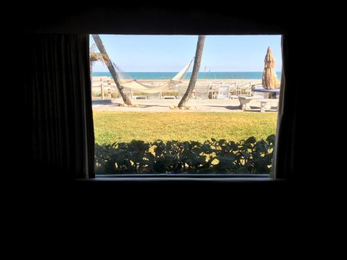 Surf Studio Beach Resort - 편의 시설/서비스