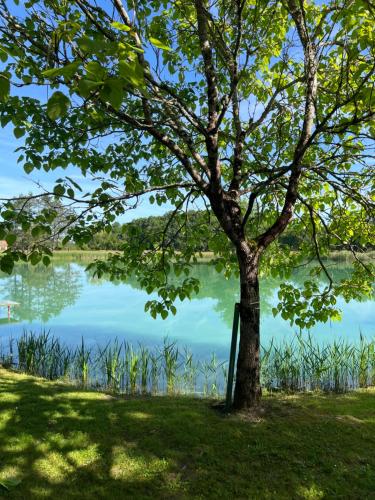 Maison avec piscine et étang, un coin de paradis (Maison avec piscine et etang, un coin de paradis) in Mézières-en-Brenne