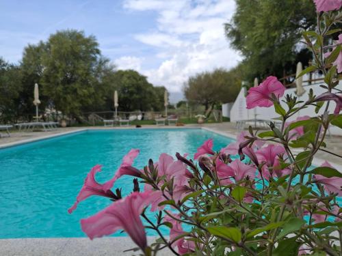 Agriturismo Palas De Serra Country Resort 2