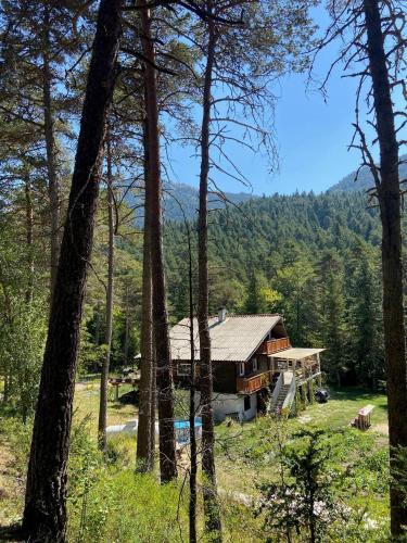 Chalet for 10 with the forest in Saint-Auban