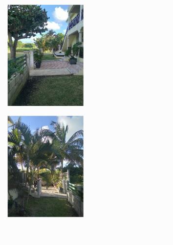 Jardim, C'VAR Residential Vacation Apartment Rentals in Bridgetown
