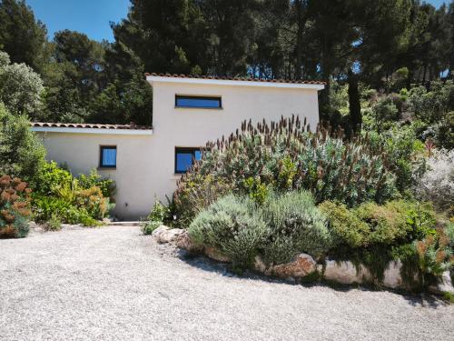 La Belle de Cassis