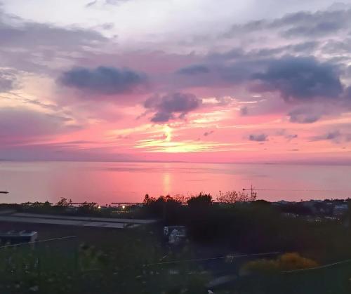 Monolocale con terrazza, solarium e vista mare al tramonto, Forio d'Ischia -L'Ulivo, Ischia