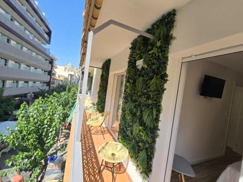 SUITES ALAMEDA Centro Levante 5