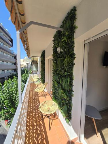 SUITES ALAMEDA Centro Levante 3