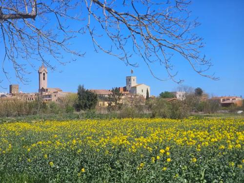 Casa acollidora al cor de l'Empordà - Costa Brava (Casa acollidora al cor de l'Emporda - Costa Brava) in Verges
