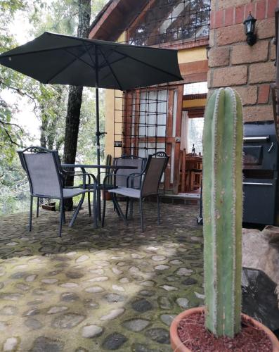 Private Stunning Cottage In Forest Cuernavaca CDMX in Real Montecassino
