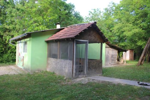 Jelen in Bezdan