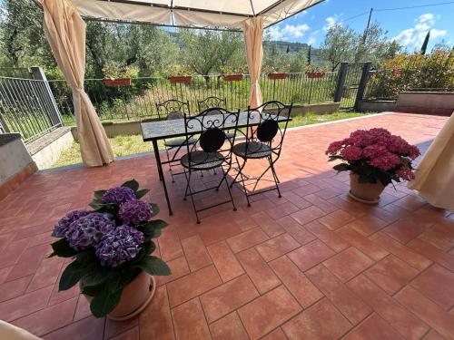 La Terrazza degli Ulivi - Cortona View