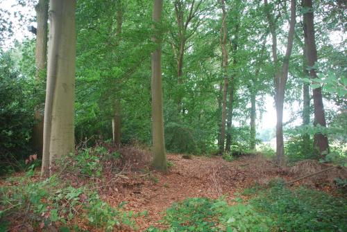 Kilátás, De Hagmolenbeek Boekelo in Boekelerveld