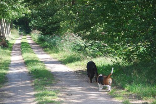 De Hagmolenbeek Boekelo in Boekelerveld