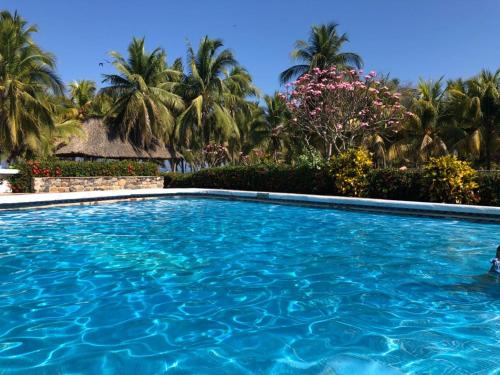 Úszómedence, BeachCasaDonPepe in Barra De Potosi